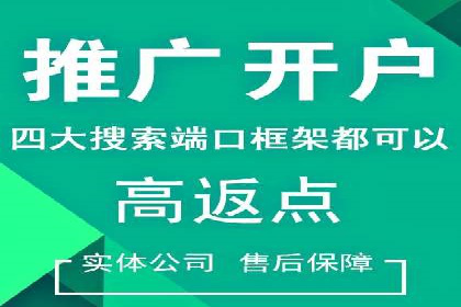 百度推广代运营案例：案例解析：如何提升广告投放效果